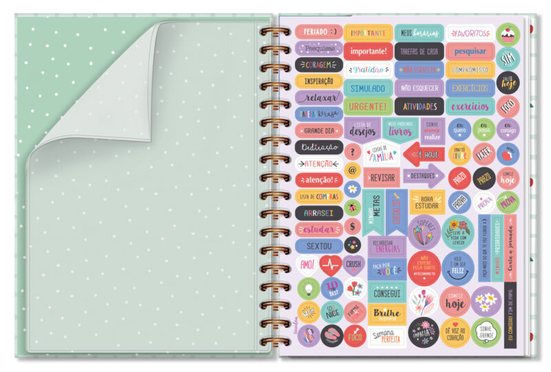 Caderno Colegial 1 Matéria - Fina Ideia - Cereja - Imagem 2